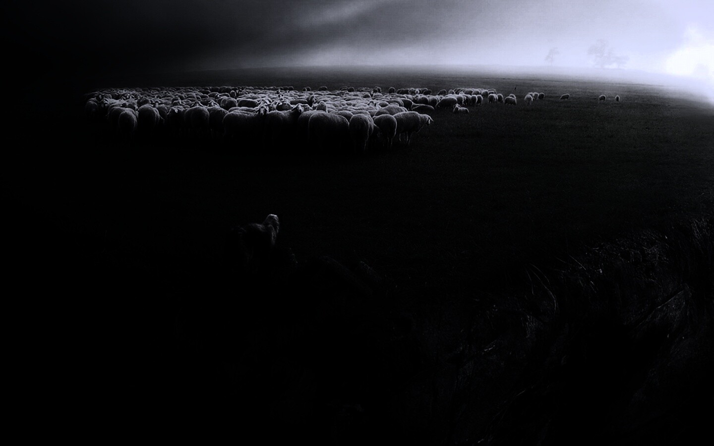 Волк и овцы обои