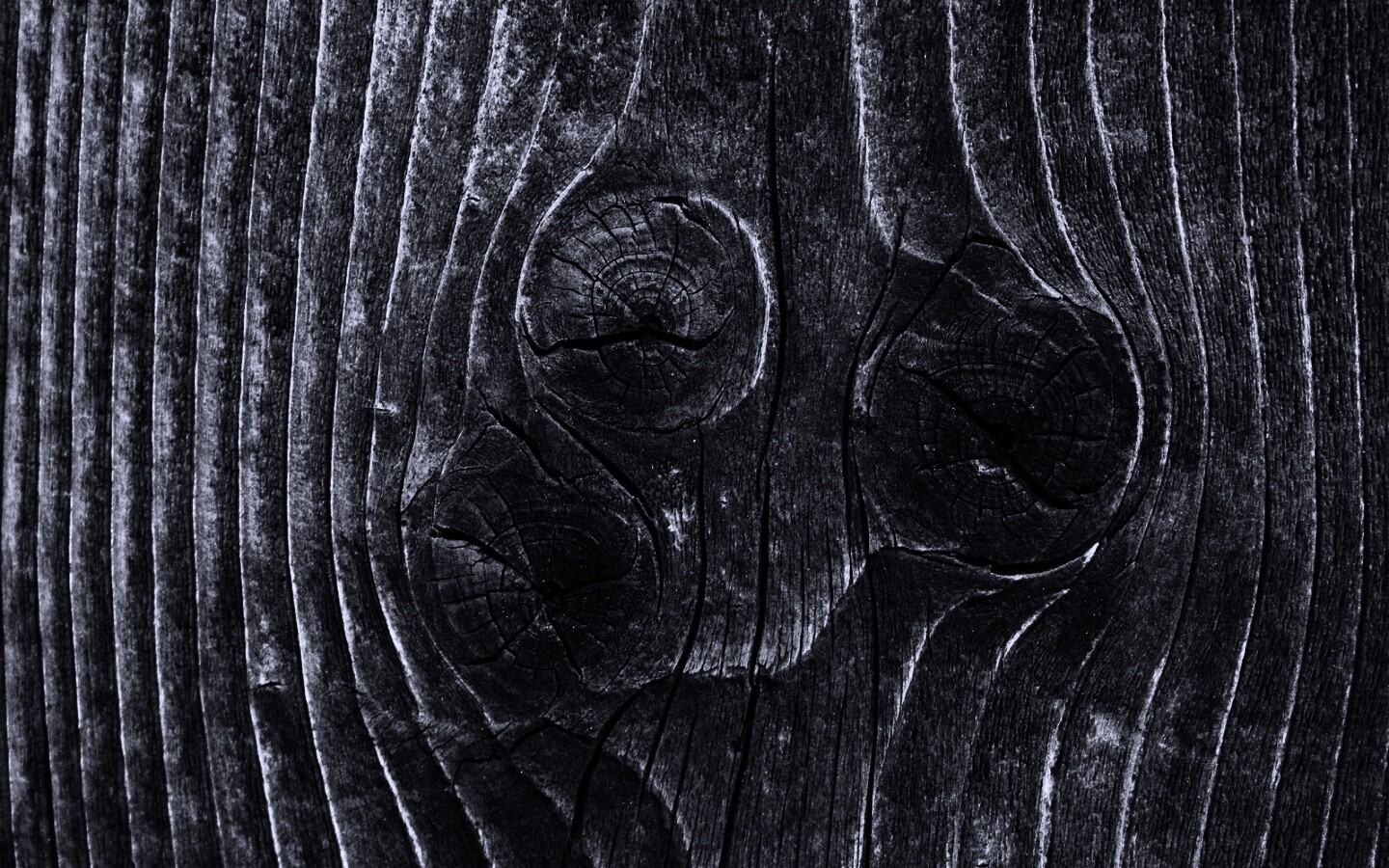 Сучковатое дерево обои