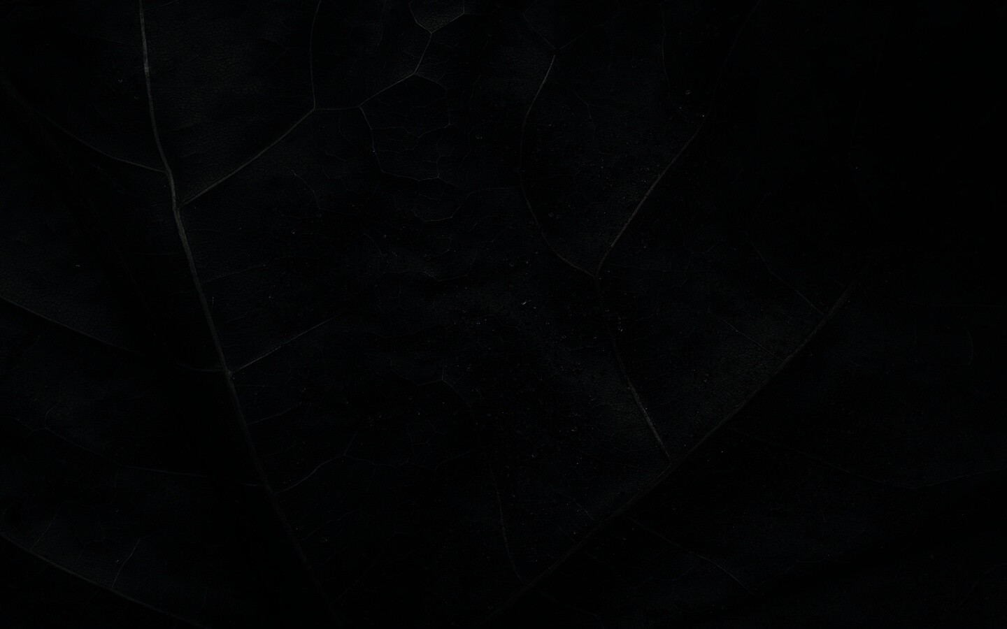 Макро зеленый лист обои