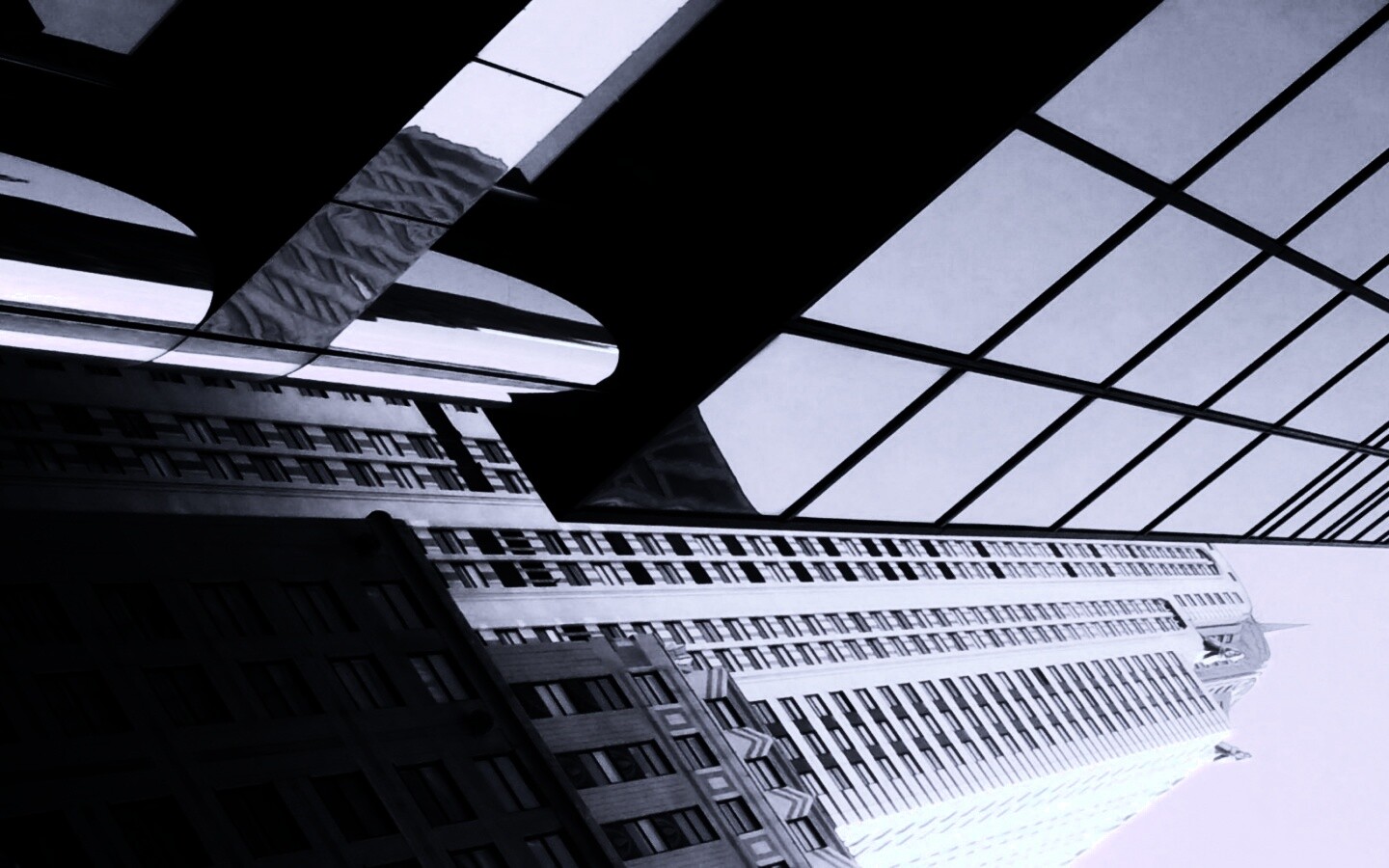 Взгляд вверх обои