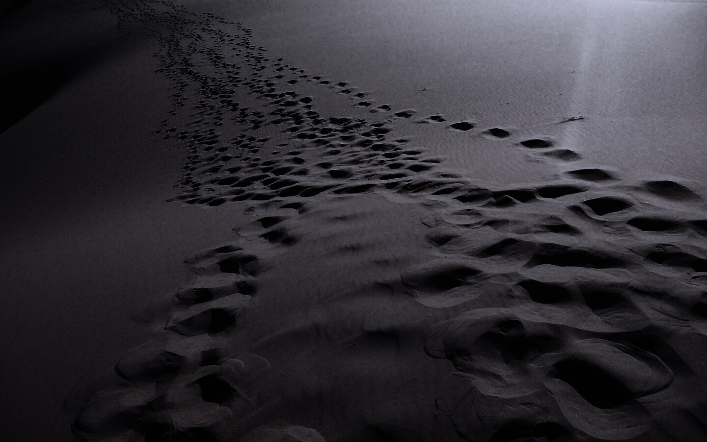 Следы в пустыне обои