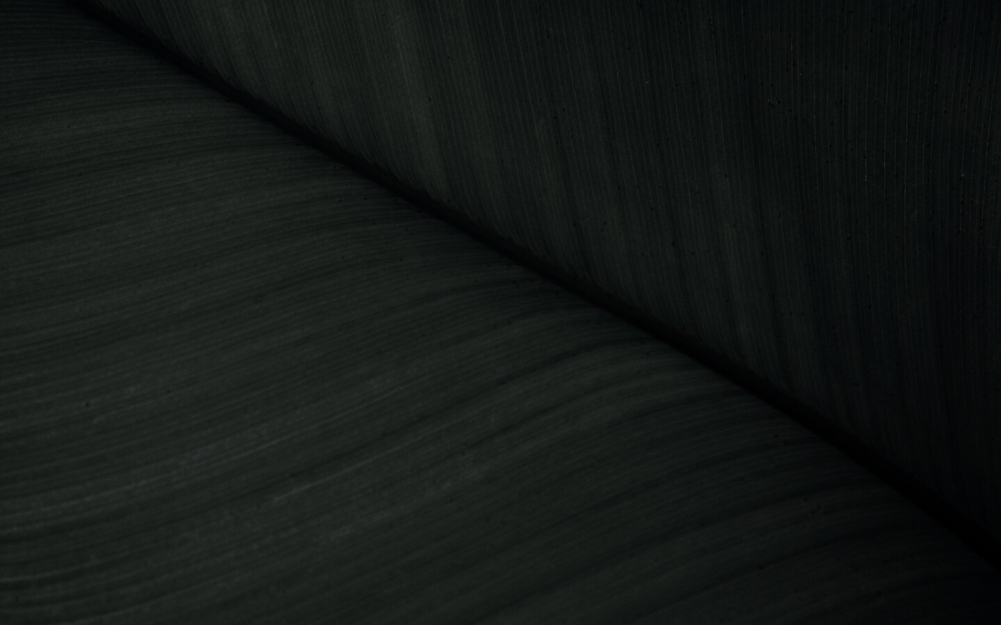 Зеленый лист обои