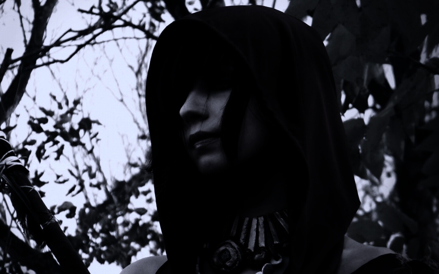 Косплей Морриган обои