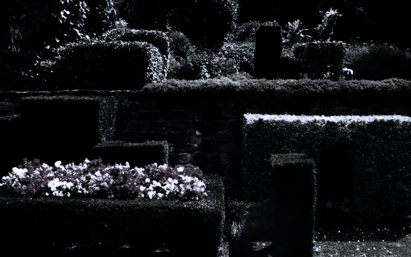 Декоративный сад обои