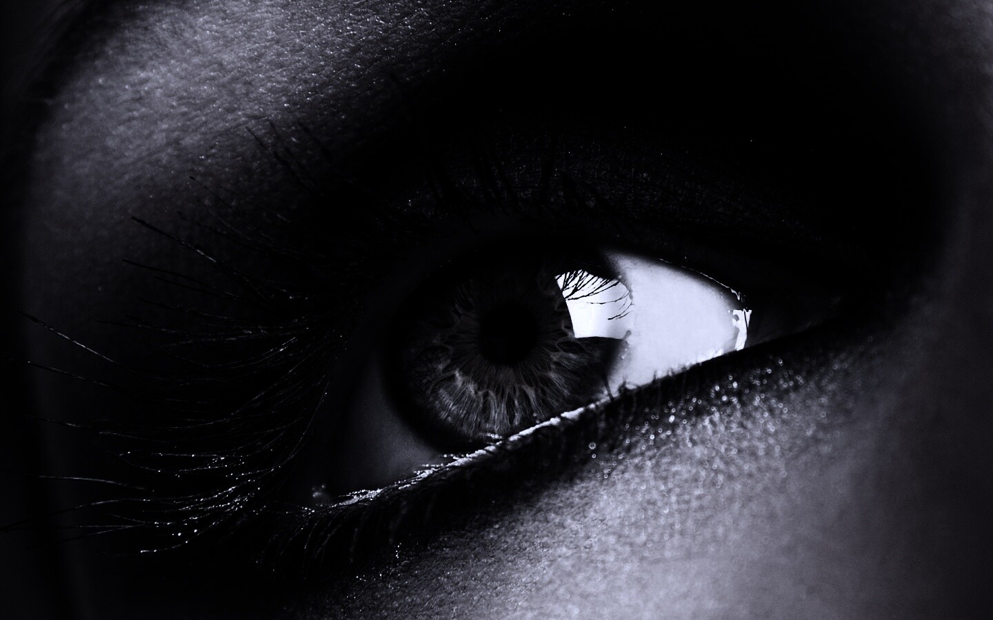 Оранжевый глаз обои