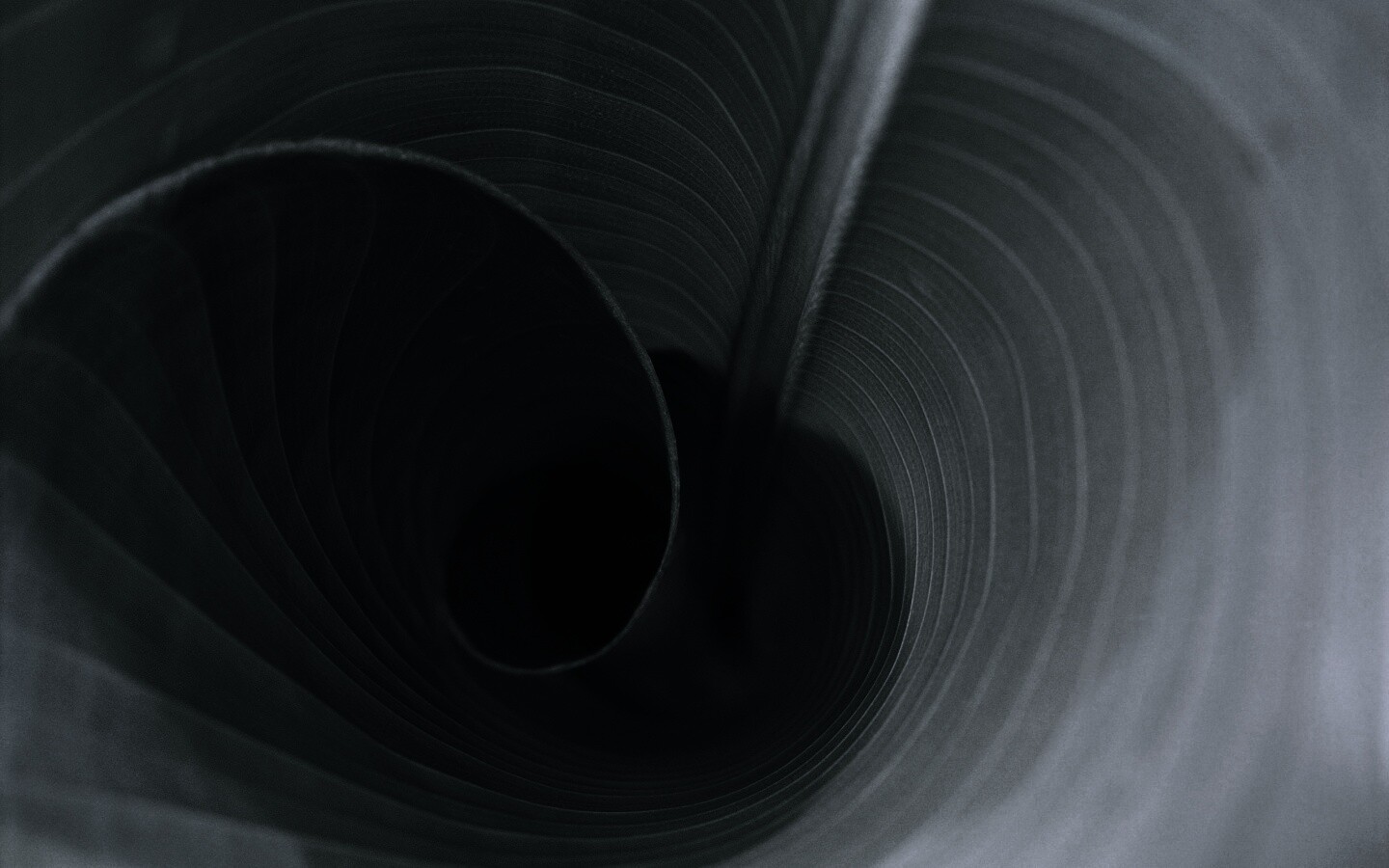 Зеленый лист трубочкой обои