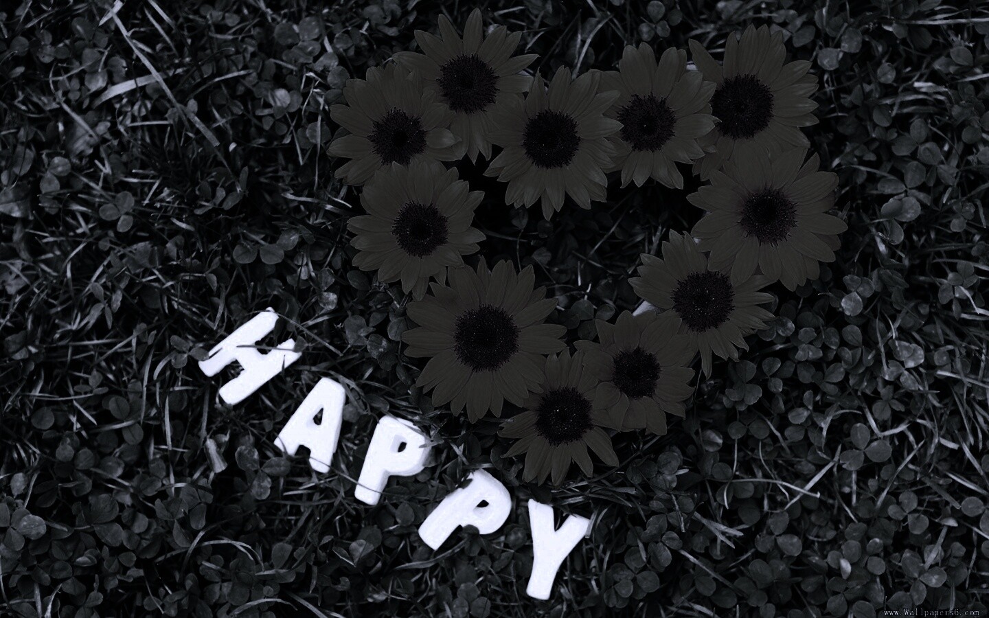 Радость обои