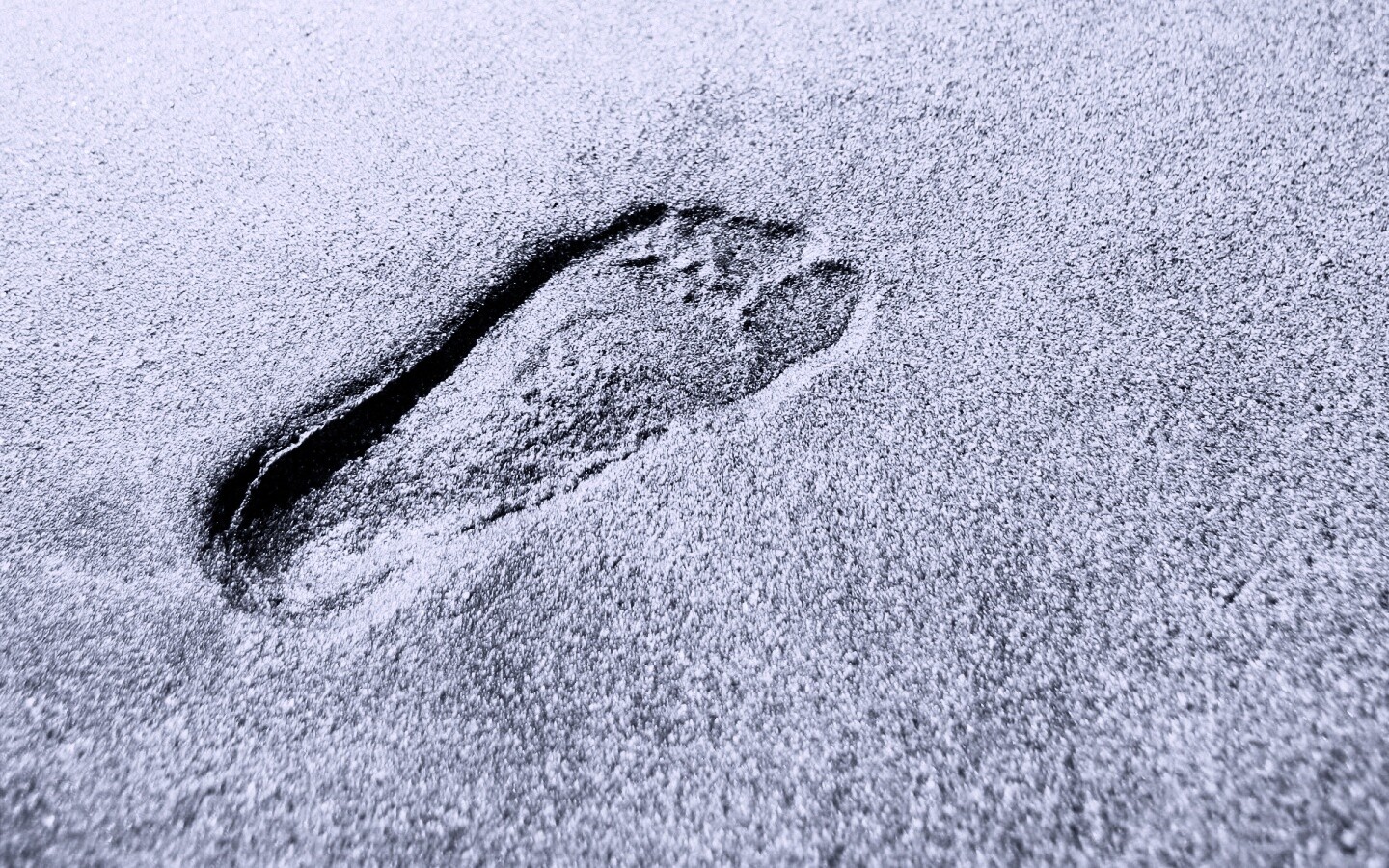 Отпечаток ноги обои