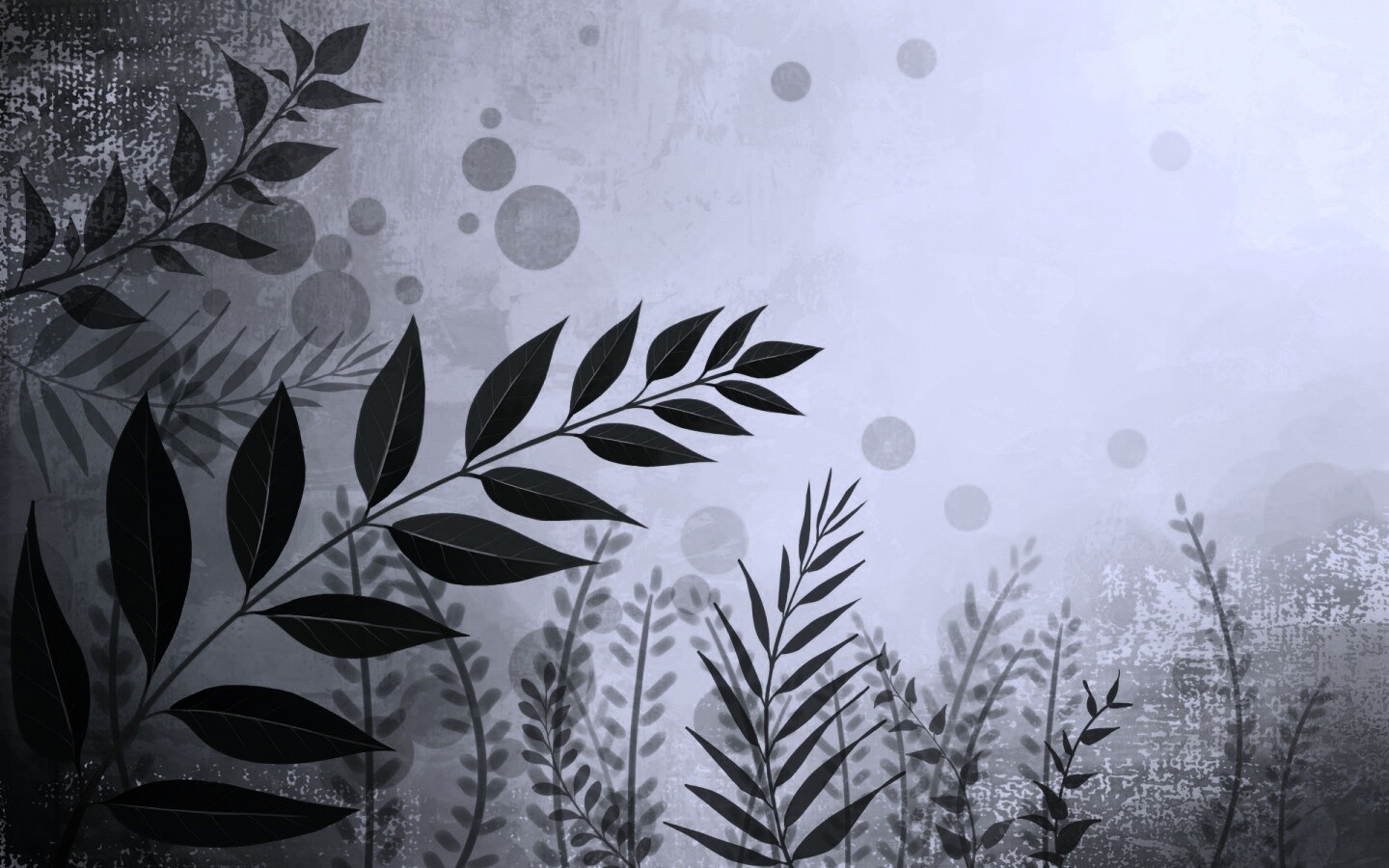 Веточка молодых листьев обои