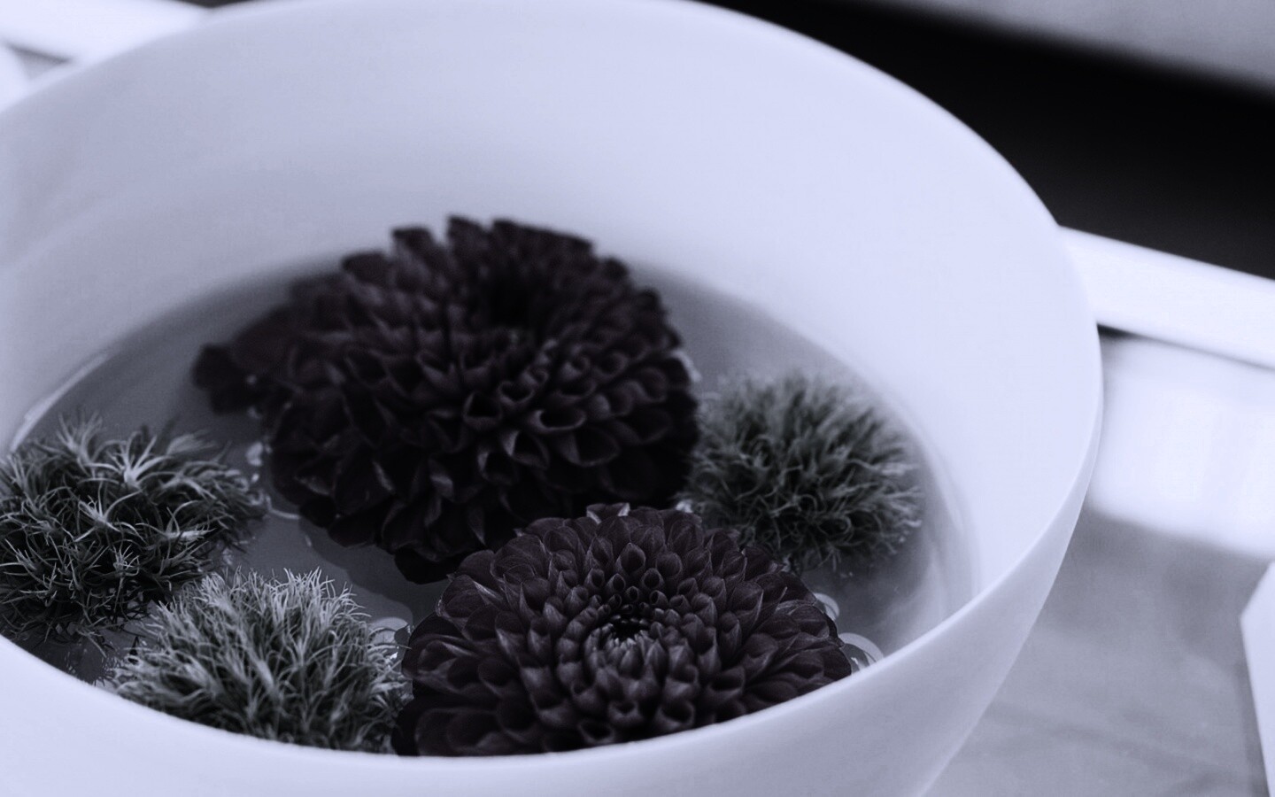 Чаша с цветами обои