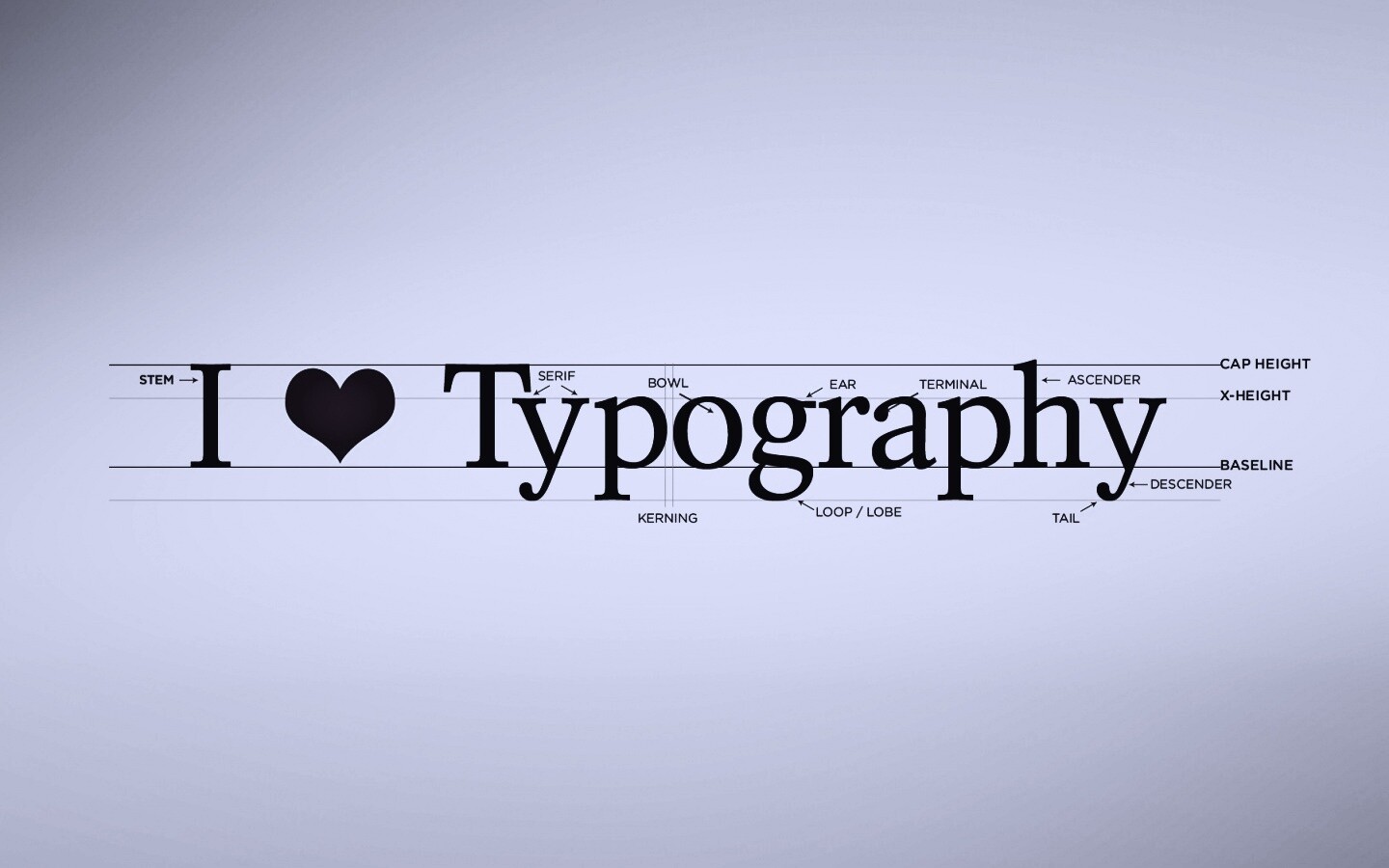 I love typography обои