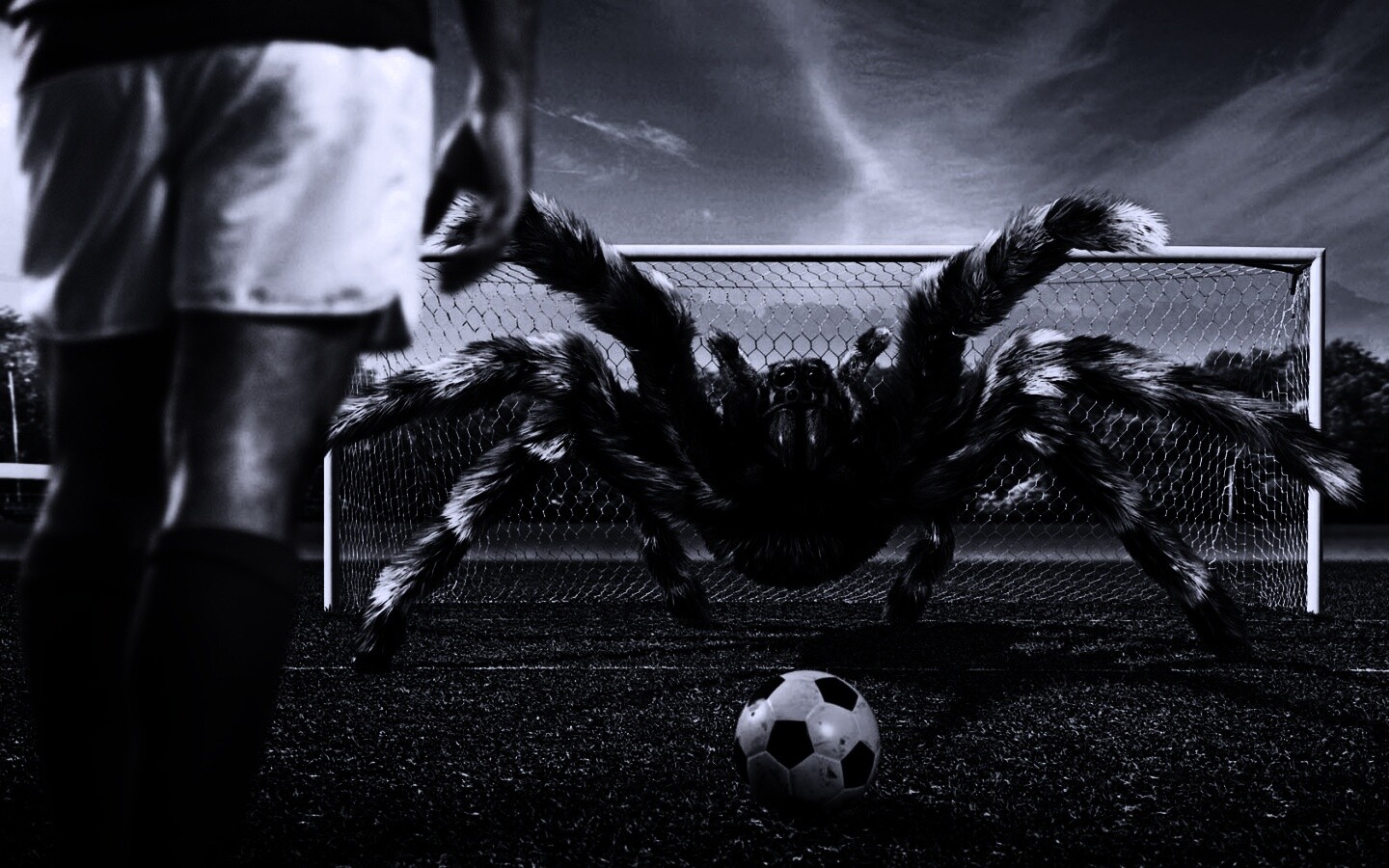 Вратарь обои