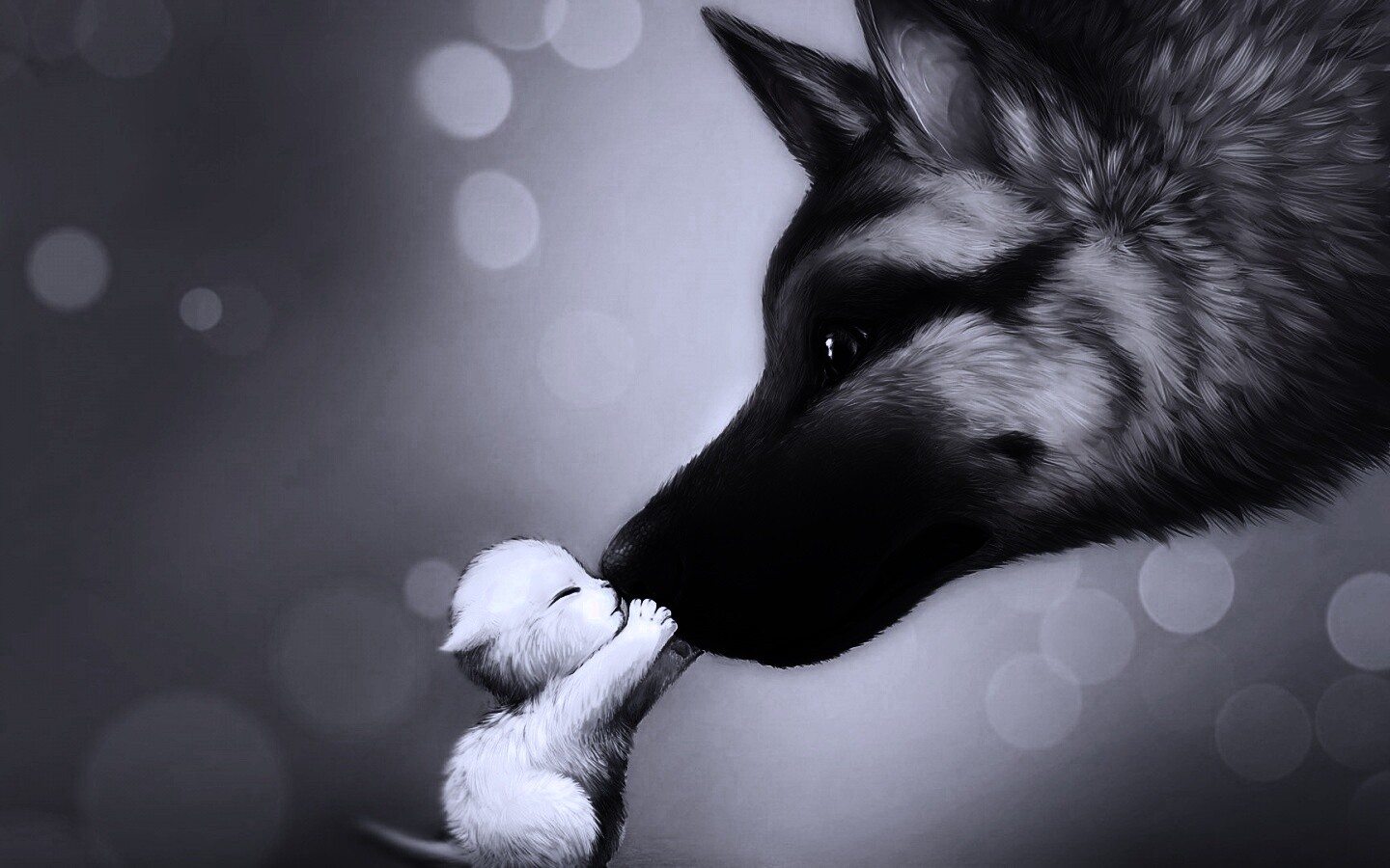 Овчарка и котенок обои