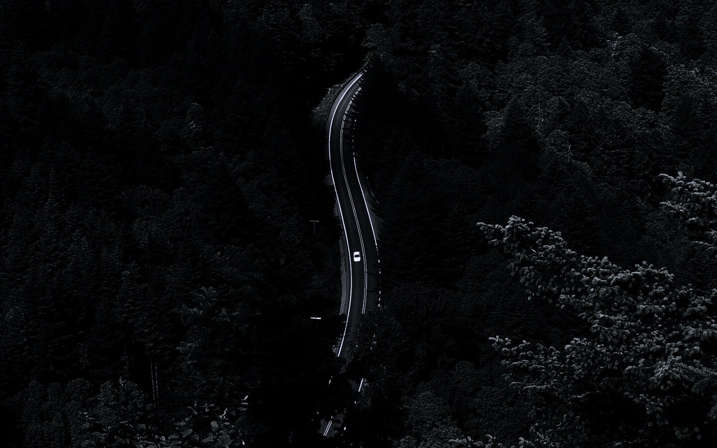 Лесная трасса обои