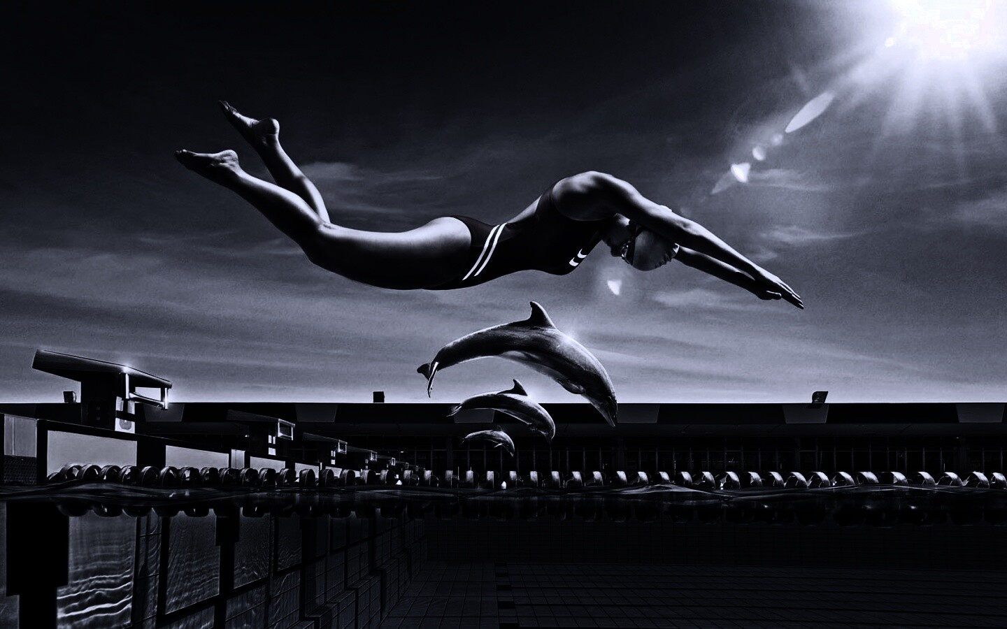 Соревнование обои