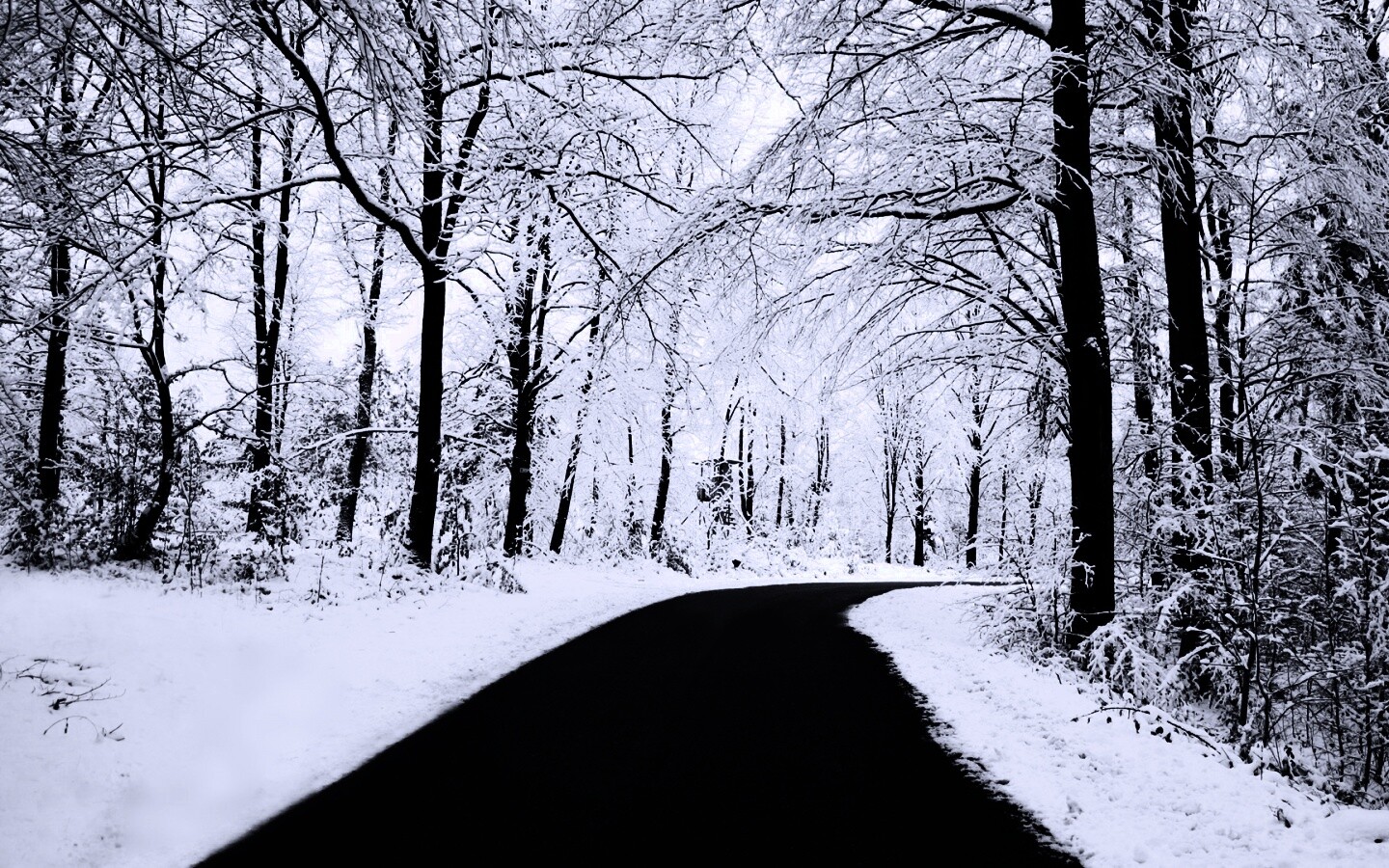Дорога в зимнем лесу обои