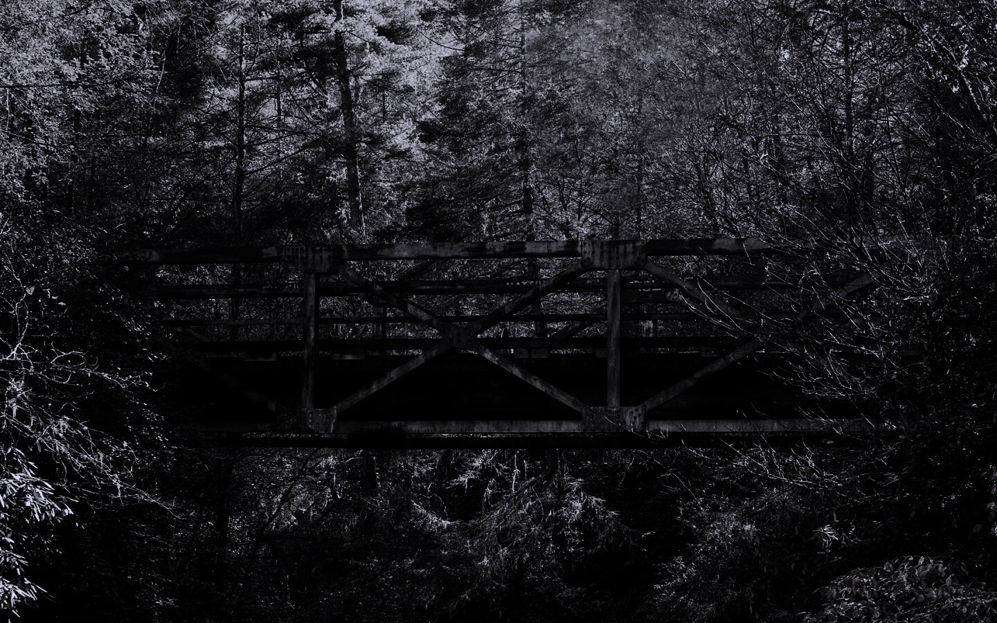 Металлический мост в лесной глуши обои