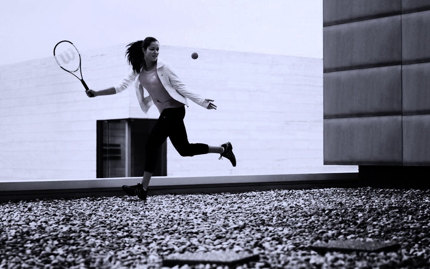 Анна Иванович обои