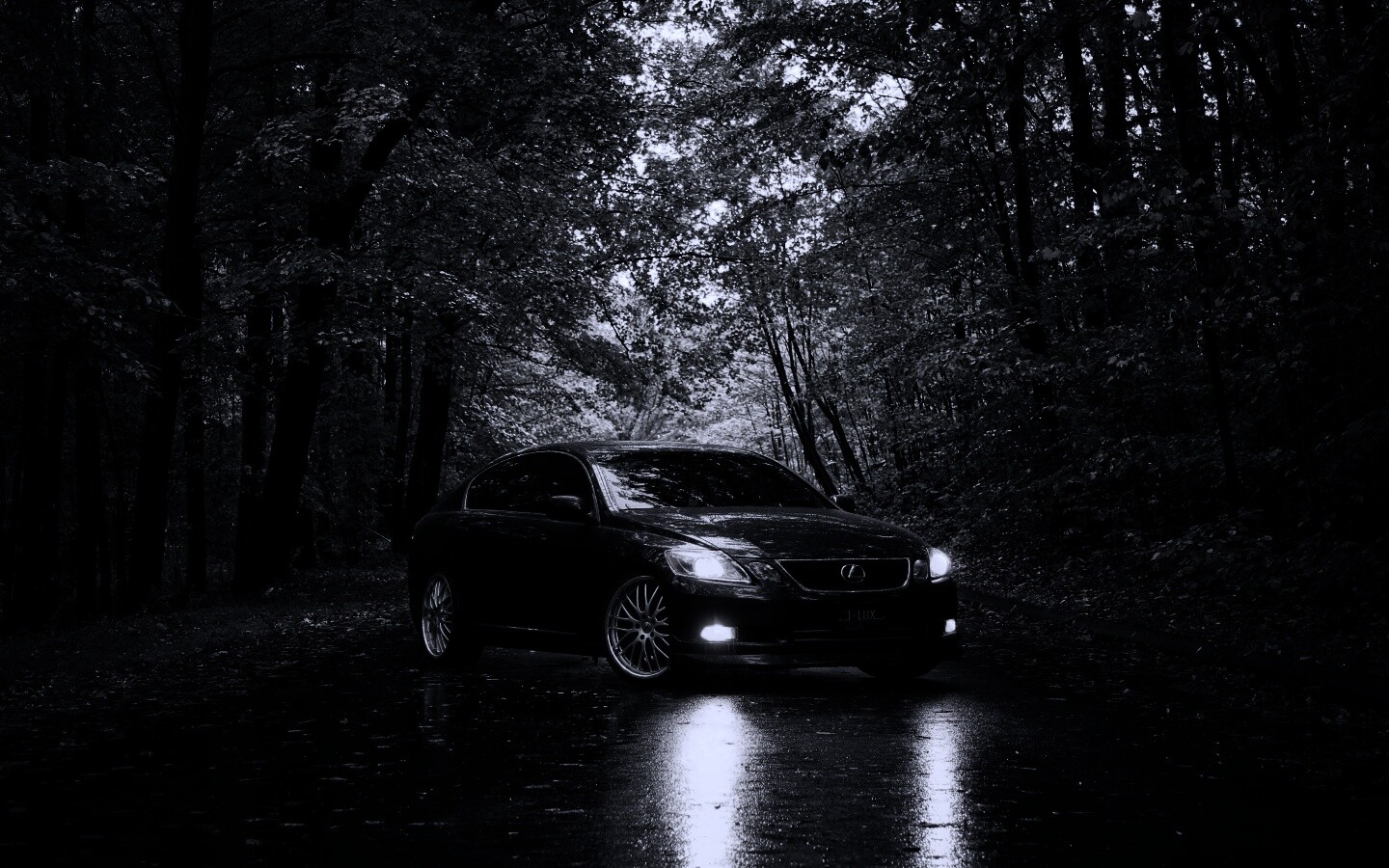 Лексус на лесной дороге обои