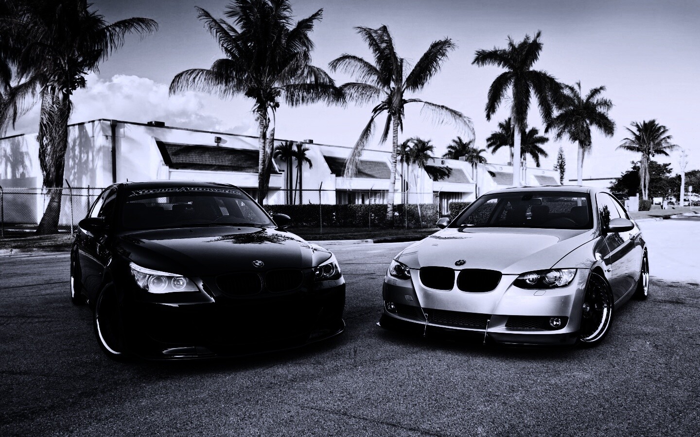 Две БМВ обои