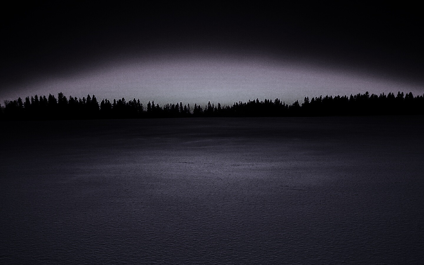 Восход над заснеженным лесом обои