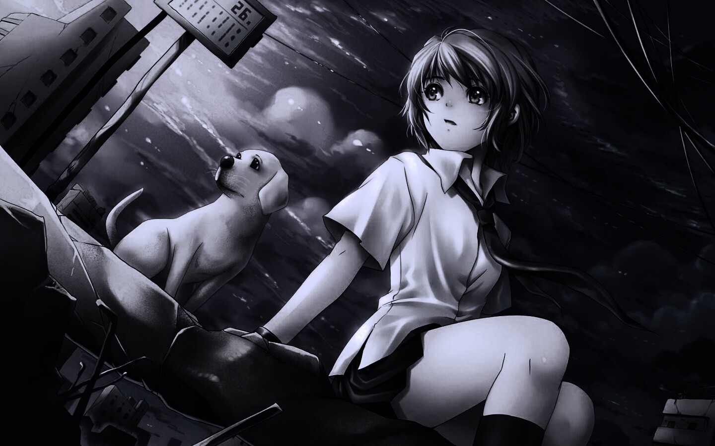 Девочка с собакой обои