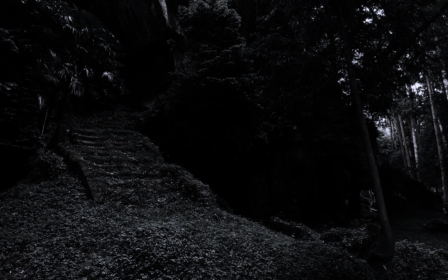 Старинный лесной храм обои