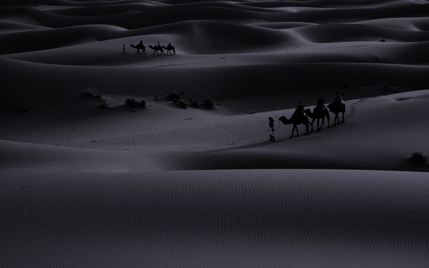 Караваны пустыни обои