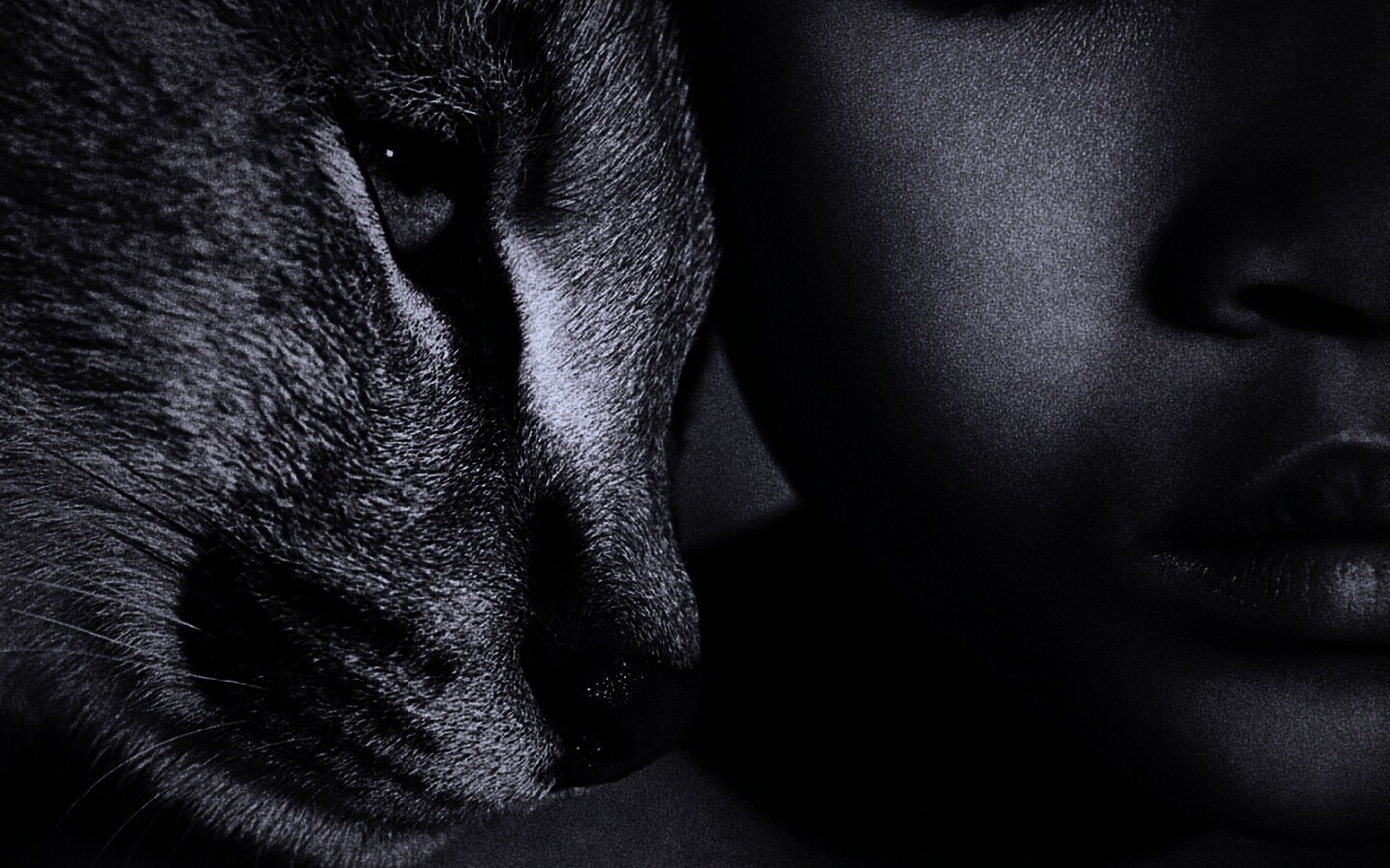 Человек и природа обои