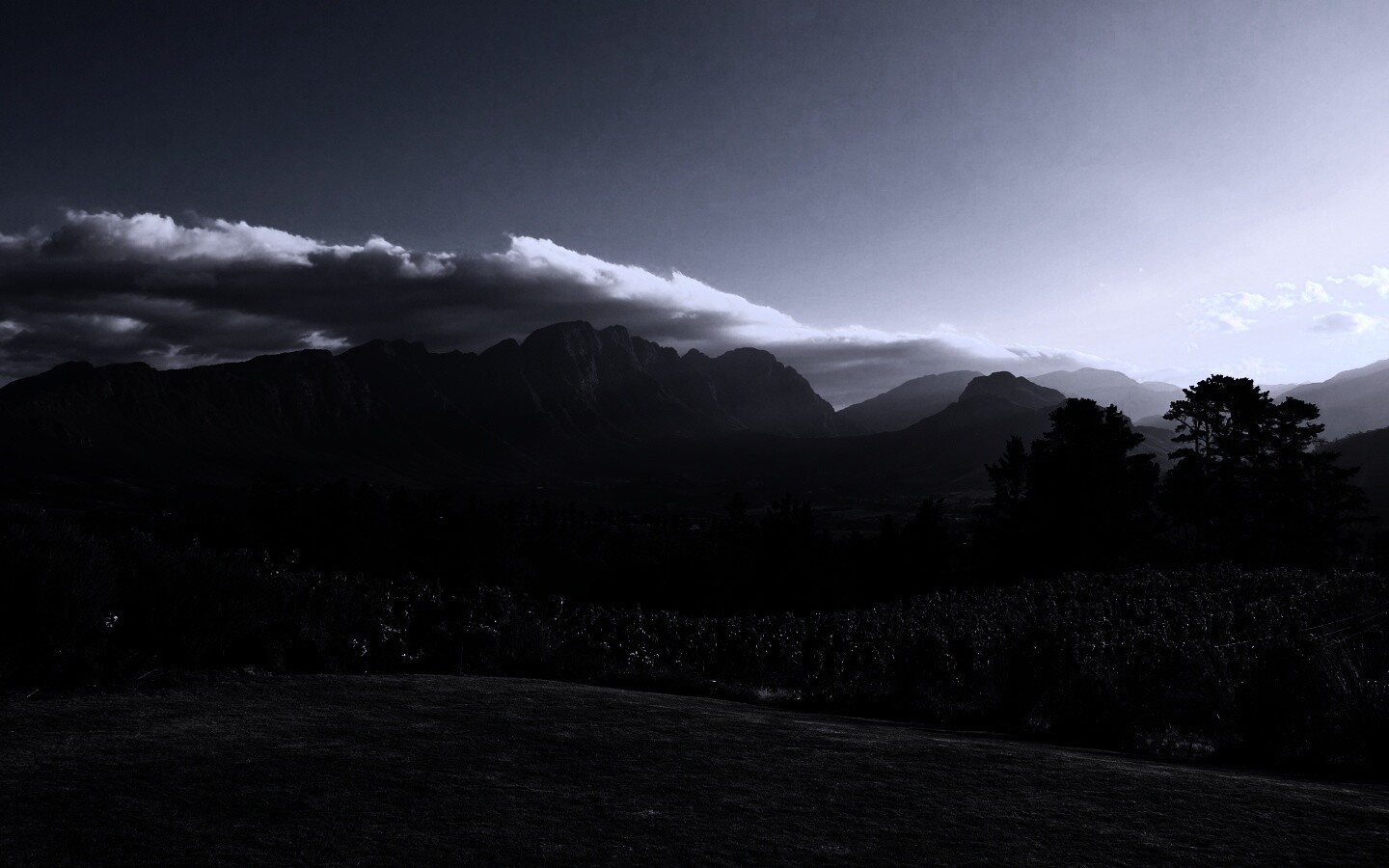 Виноградники в Африке обои