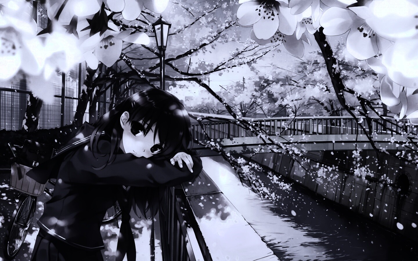 Девушка среди лепестков сакуры обои