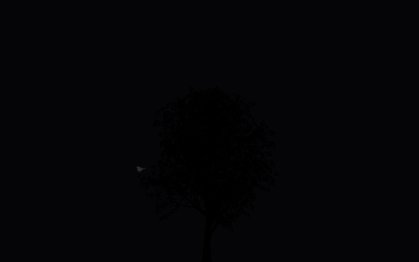 Дерево и птица обои