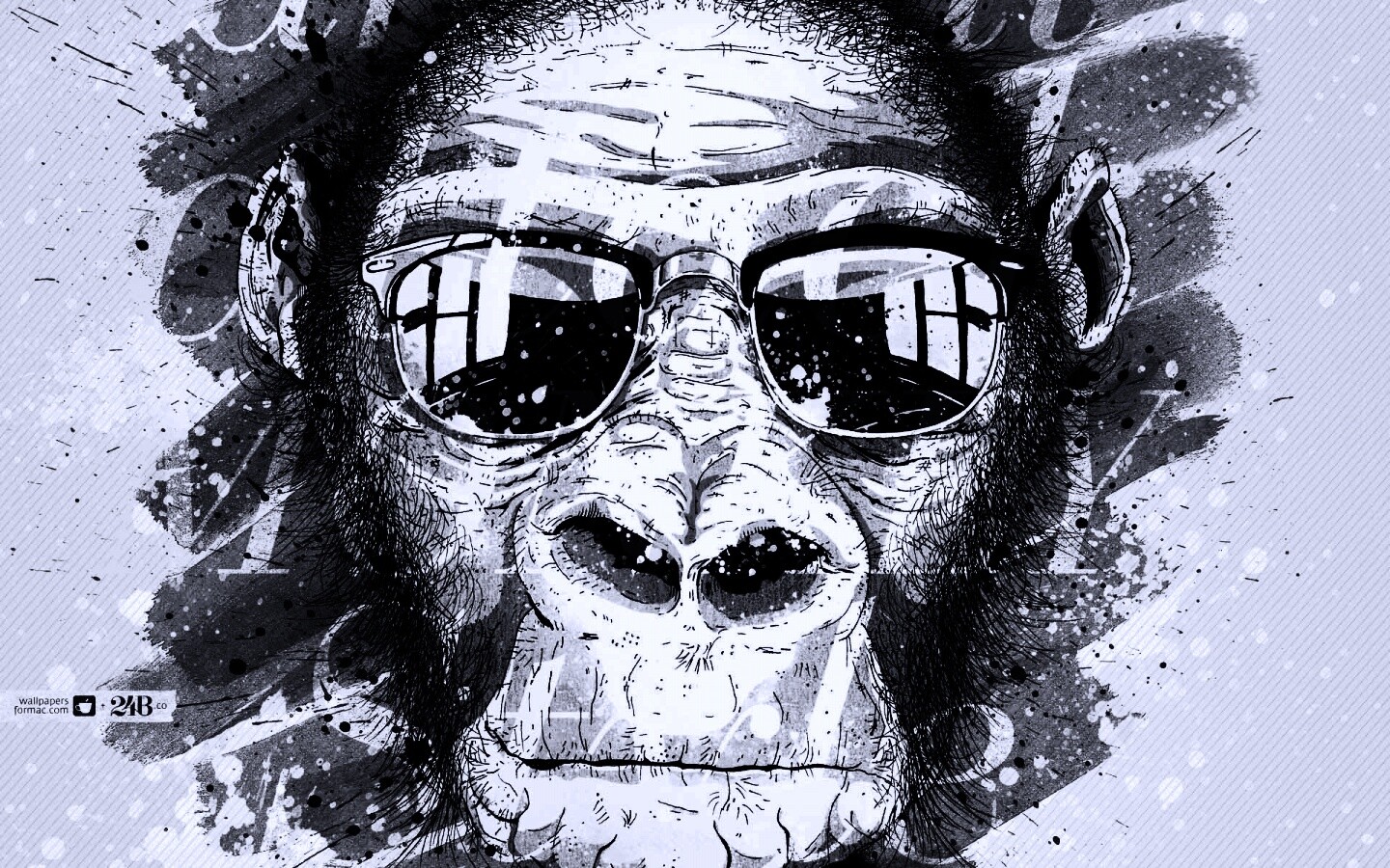 Макака в очках обои