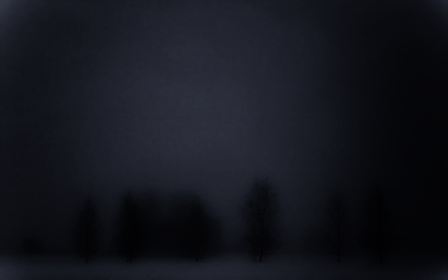 Деревья в тумане обои