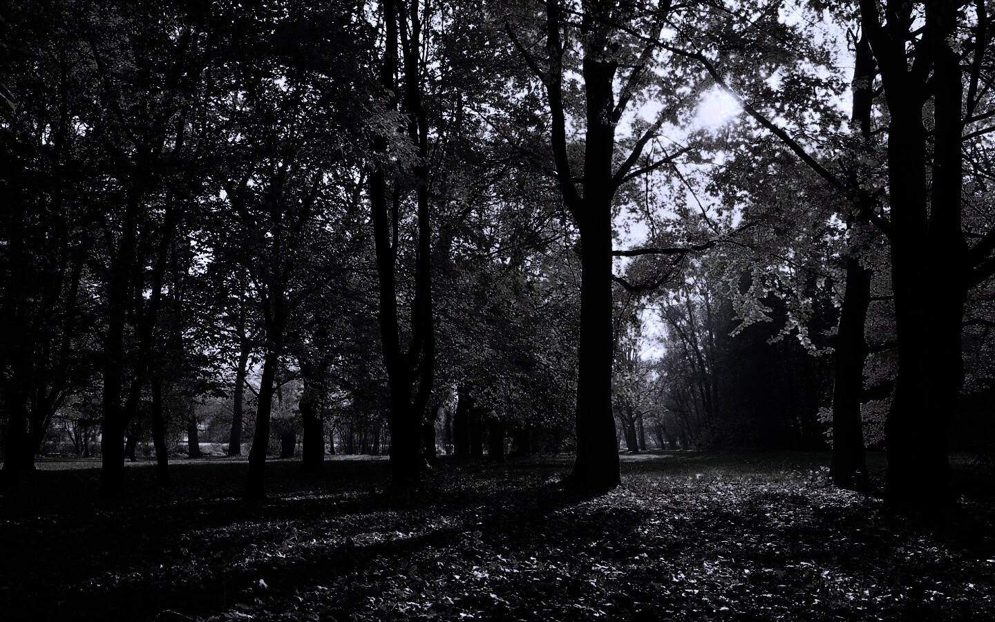 Осенний листопад в парке обои