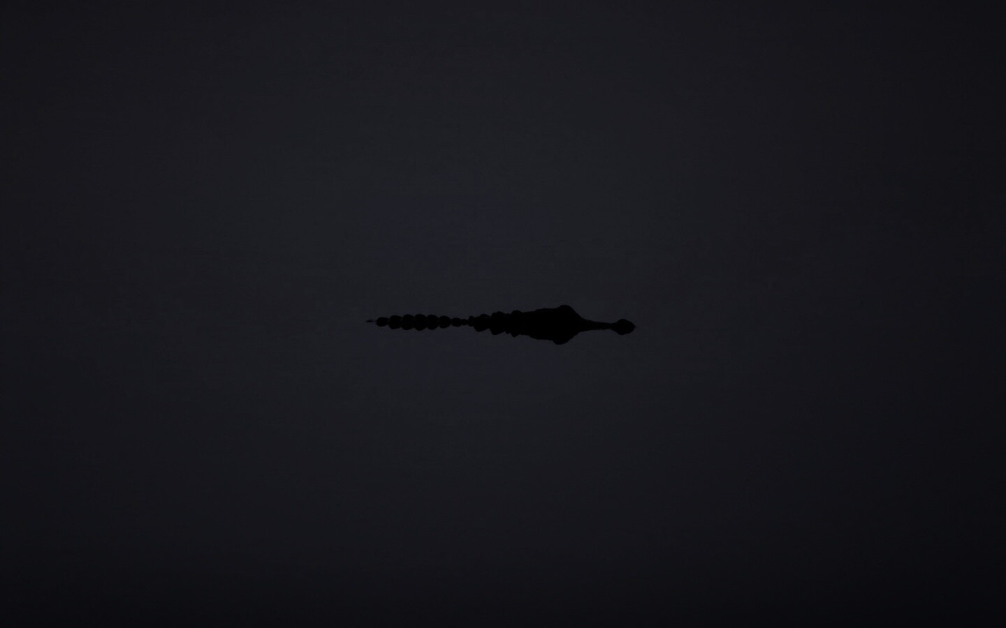 Алигатор обои