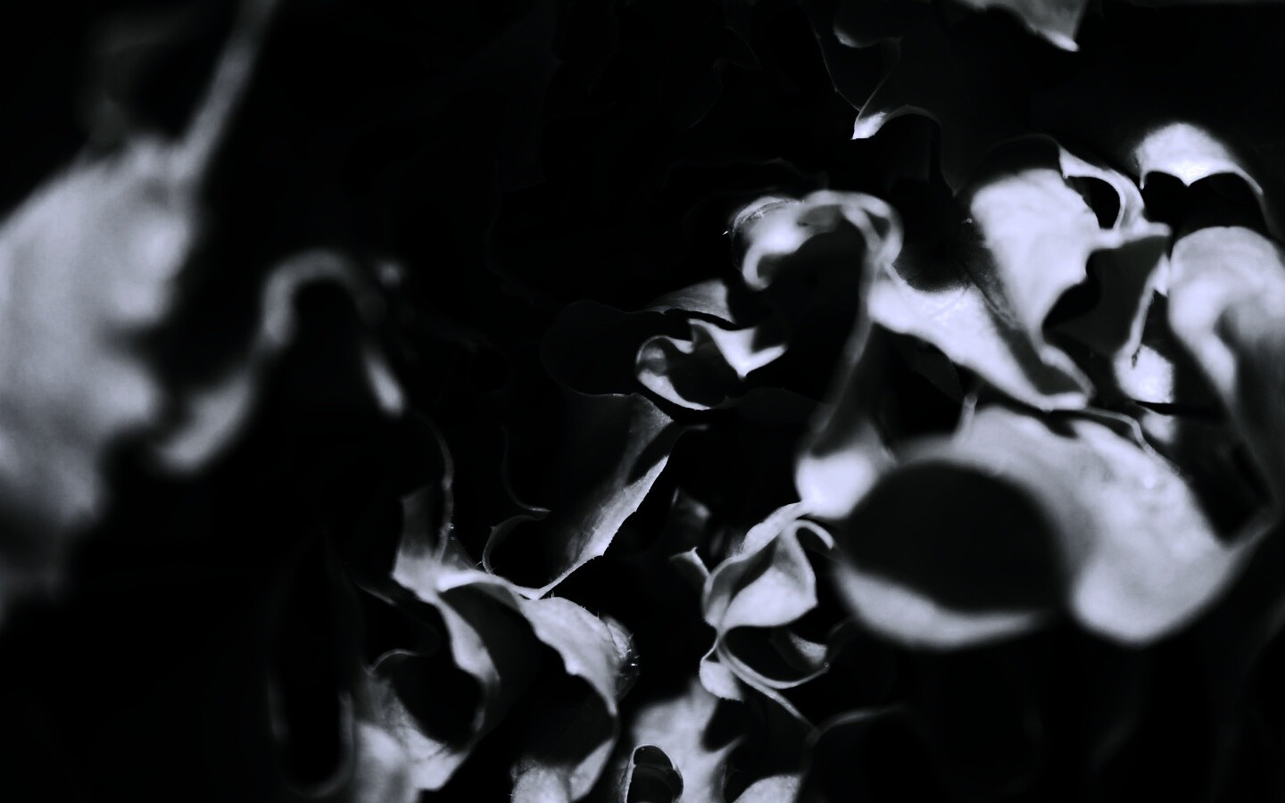 Зеленая листва обои