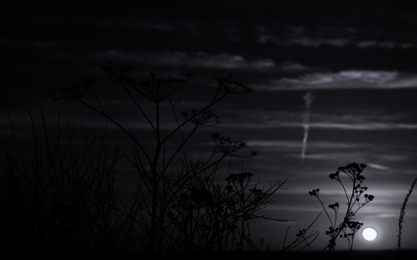 Степной закат обои