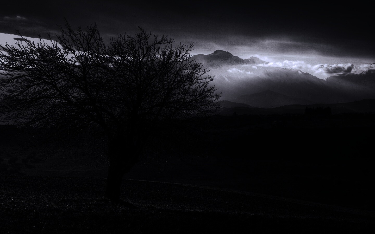 Дерево и горы обои