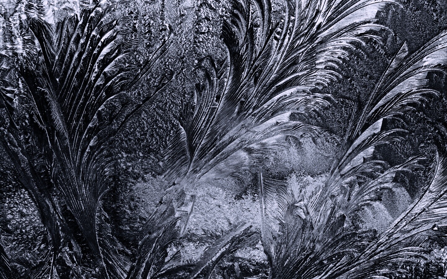 Зимние узоры обои