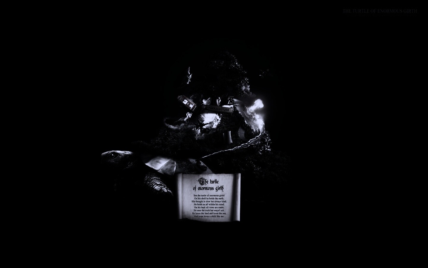 Огромная в обхвате черепаха обои