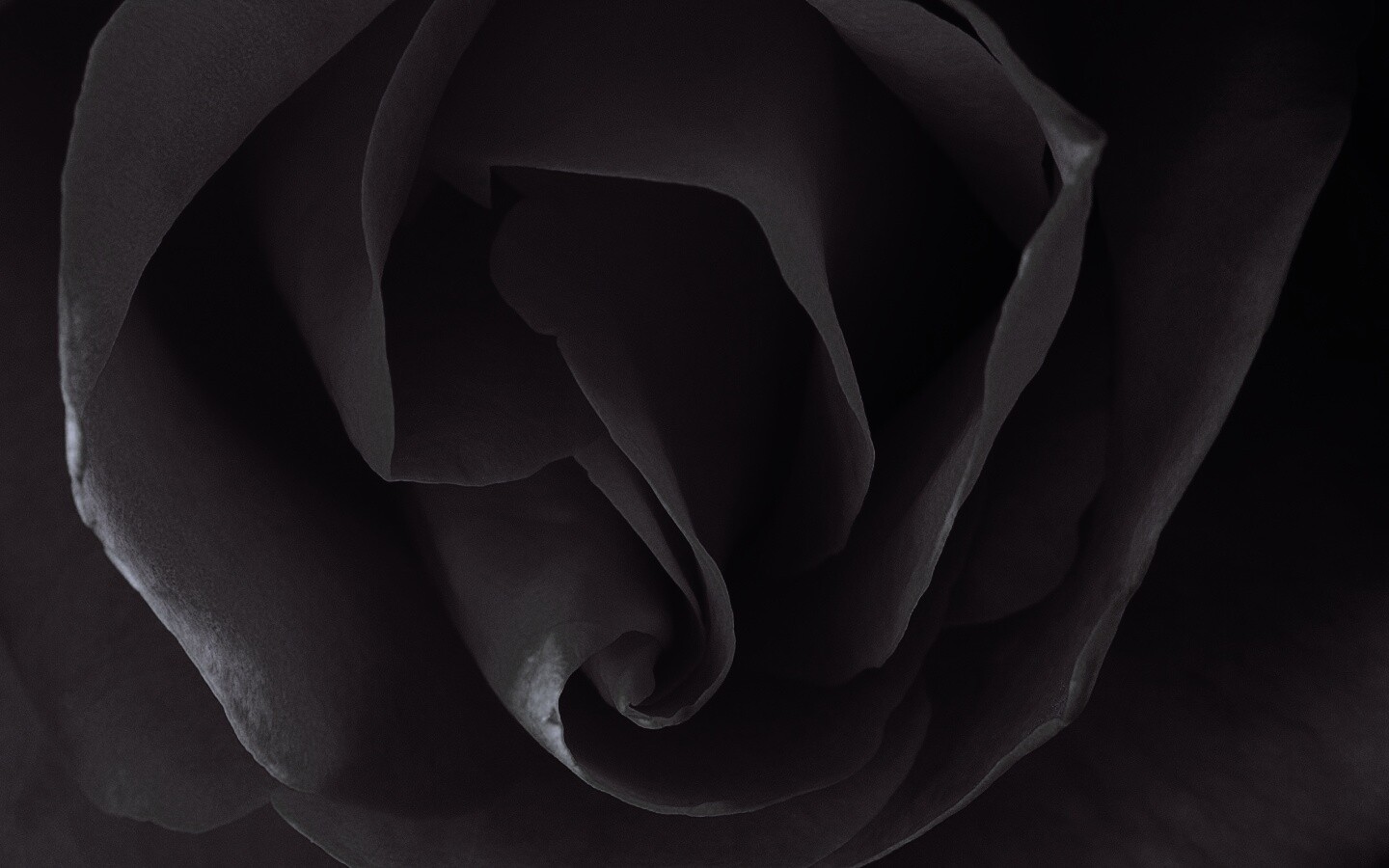 Макро фотка бутона обои