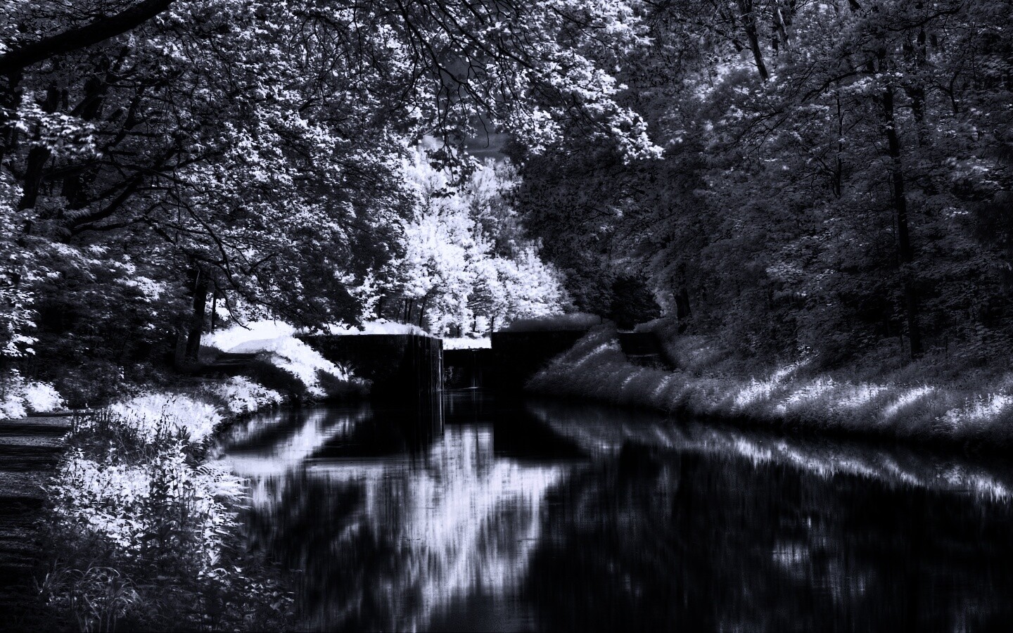 Замёрзжий канал обои