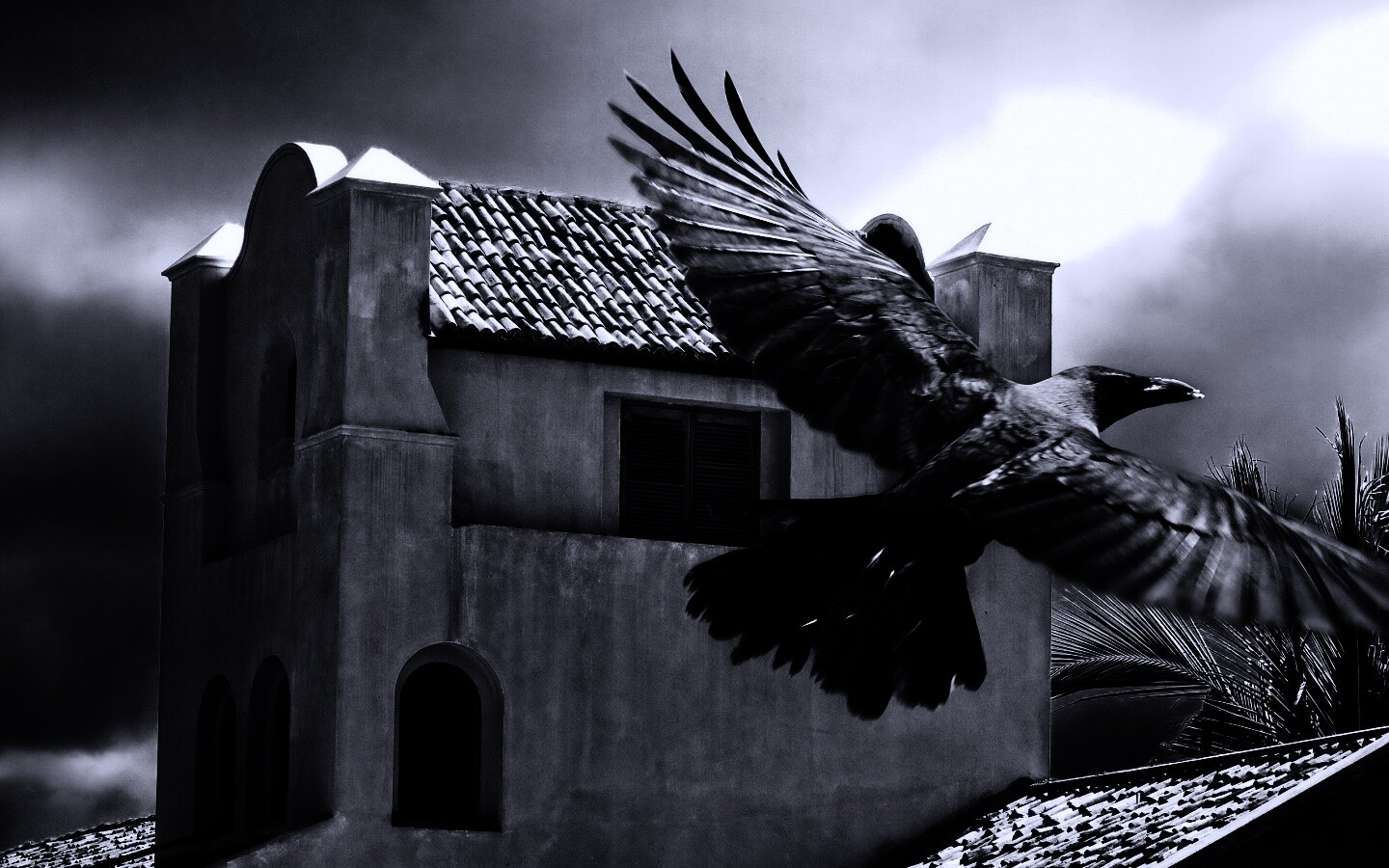 Полёт ворона обои