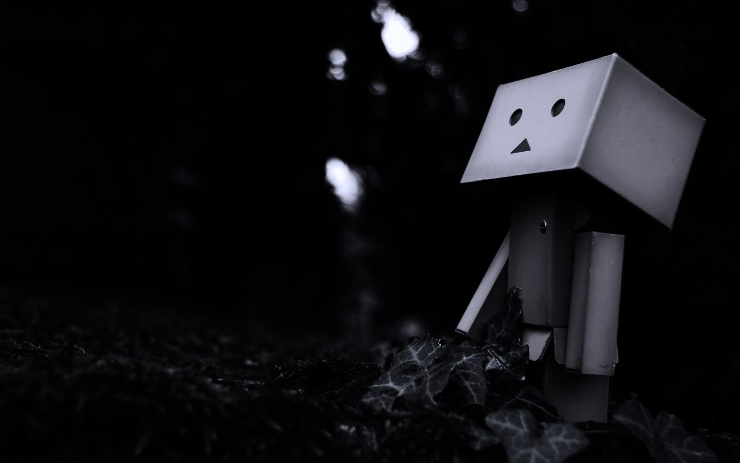 Danbo смотрит вверх обои