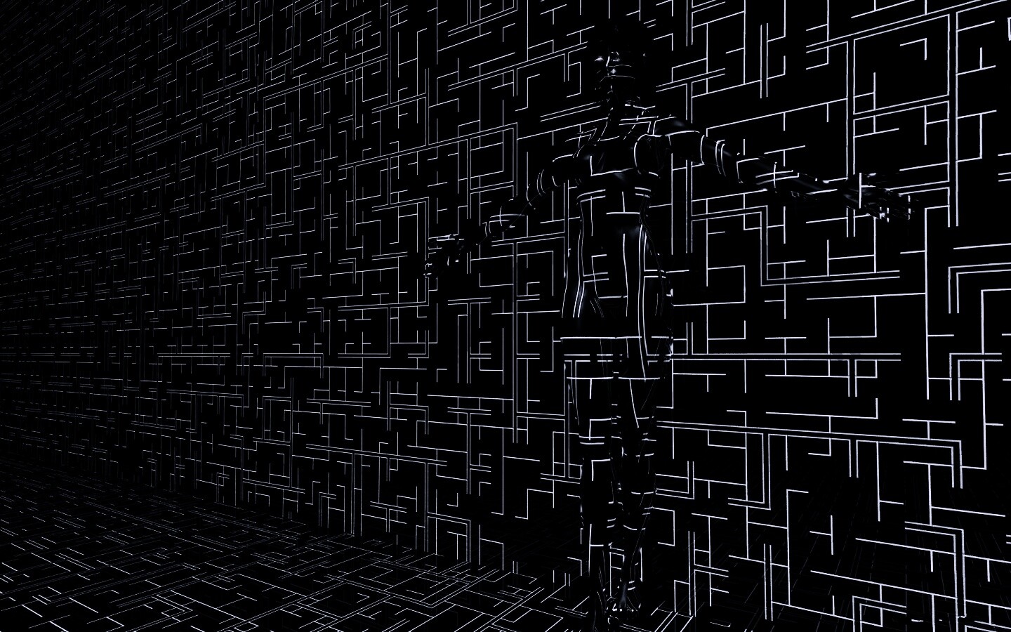 Невидимка обои