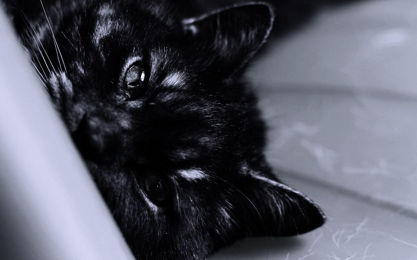 Глаза и уши обои