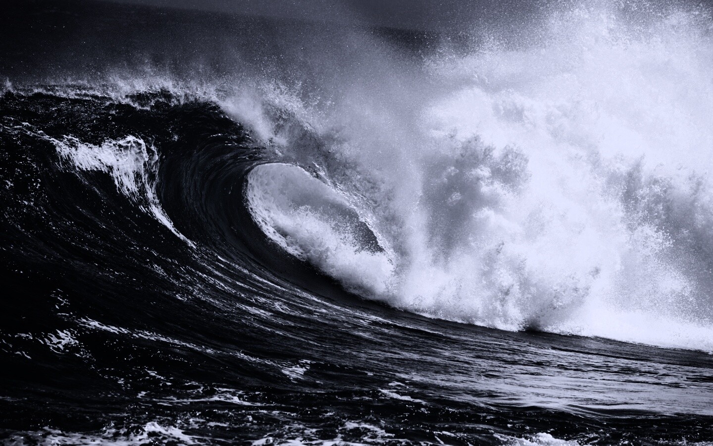 Лови волну обои