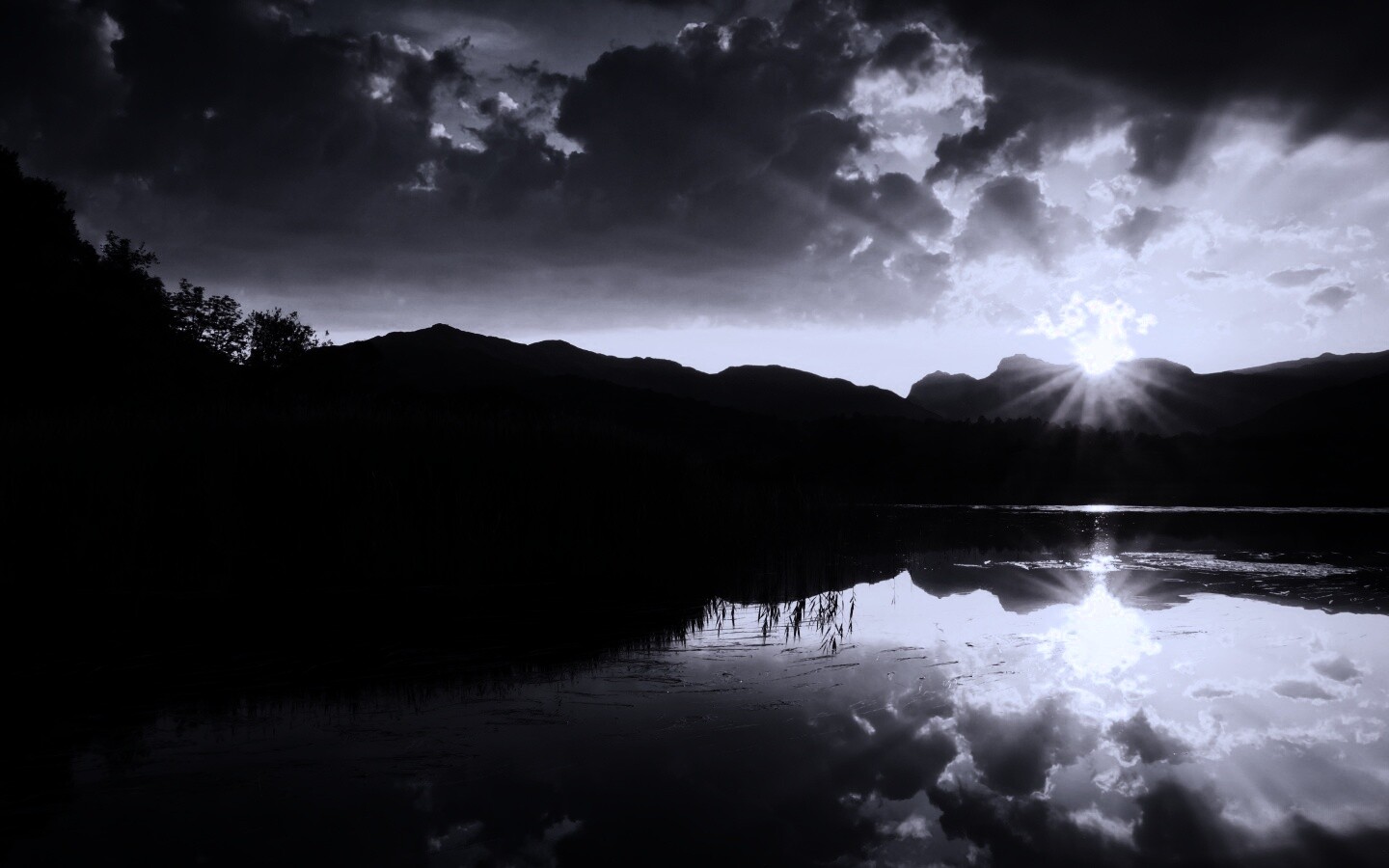 Закат за лесом обои