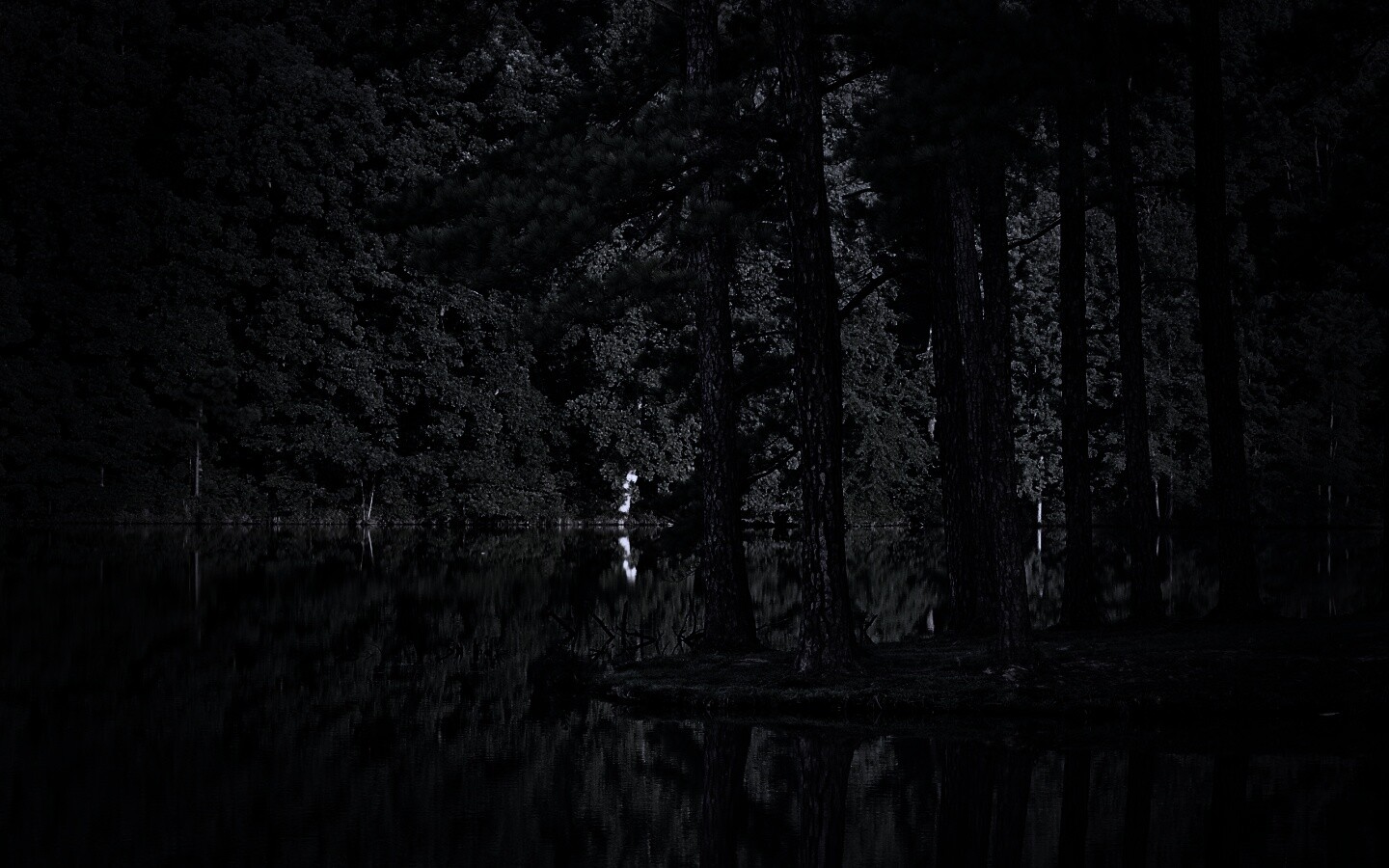 Островок посреди озера обои